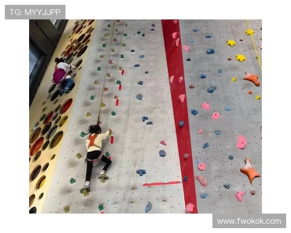 上海攀岩队在全国个人能力排行榜中荣获第九名展现实力与潜力