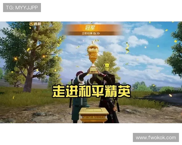 专访陈芳揭秘和平精英成功背后的策略与创新之路